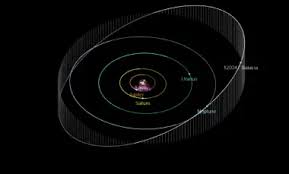 Image result for Salacia