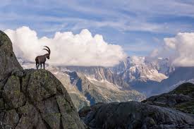 Mont blanc from mapcarta, the open map. Hike The Tour Du Mont Blanc Self Guided Guided Hikes Around Mont Blanc With Luggage Transport The Cat The Peacock Distinctive Travel For Curious People