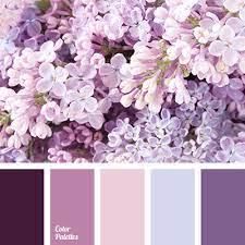 Color Palette 2931 Color Palette Ideas Purple Color Palettes Color Palette Color Schemes