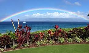 #31 of 32 hotels in lahaina. Dreamy Maui Ocean Inn Kanaapali Ocean Inn