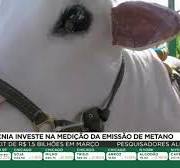 Instituto de zootecnia investe na medição da emissão de metano