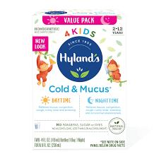 Hyland'S Naturals Kids Cold & Cough Daytime Liquid, Grape Grape | Walgreens