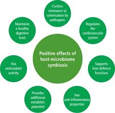 • bieden een goede reiniging • handig en hygiënisch per stuk verpakt • tandartsen raden aan om je opzetborstel om de 3 maanden te veranderen. The Oral Microbiome An Update For Oral Healthcare Professionals British Dental Journal
