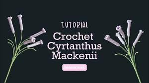 Image result for Cyrtanthus mackenii