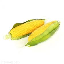Corn 3d Model C4d Download Model Corn 3d Model