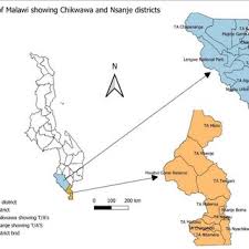 Image result for Tragia grandistipularis