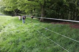 Proven electric fence for cattle. Electric Fencing For Cattle Electric Fencing Direct