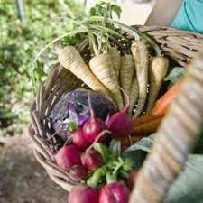 How To Plant A Vegetable Garden In New Jersey Ehow Fall Garden Vegetables Fall Vegetables When To Plant Vegetables