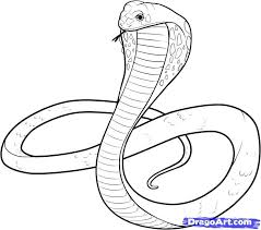 Learn how to draw a snake in two different poses. Snake Drawings For Kids King Cobra Coloring Pages Snake Drawing Snake Sketch Snake Art