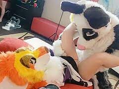 Furry sex creampie - PornZog Free Porn Clips
