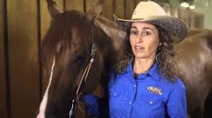Train Your Own Horse With Stacy Westfall | Iheart