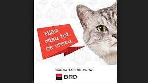 Rncbrobu), a member of erste group, is the most important financial group in romania, including operations of universal bank (retail, corporate & investment banking, treasury and capital markets). Black Hole La Brd Xi Se Ridica Cortina De Pe Marele Jaf 5 5 Milioane Euro Din Creditele Clientilor Sageata Care Au Fraudat Brd Cu 19 Milioane Euro S Au Intors In Conturile Afaceristului