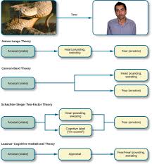 Theories Of Emotion Introduction To Psychology