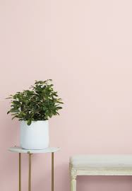Placed in a design with a lighter color scheme, the walls read bold, highlighting architectural features. Baby Pink Wall Paint Novocom Top