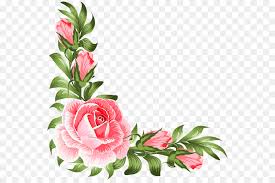 Frame border white rose floral bingkai bunga mawar putih png. Background Bunga Pink Png