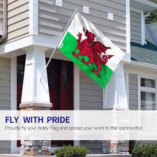 Cơ hội này là không phải không có sau khi đội bóng của ông rob page hòa. Cá» Xá»© Wales Kich ThÆ°á»›c 90x150cm Ä'á»™c Ä'ao Cao Cáº¥p Gia Thang 6 2021
