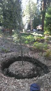 In addition to having a drain in the floor you would have to grade the floor to dip. Greywater Systems In Freezing Climates Greywater Action