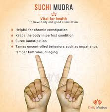 Vital For Health To Have Daily And Good Elimination Mudras Yoga Hands Yoga Mantras