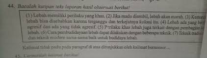Kalimat tidak padu pada paragraf tersebut ditunjukkan dengan nomor. Kalimat Tidak Padu Ditunjukan Oleh Berikan Alasannya Brainly Co Id