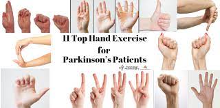 We did not find results for: Top 11 Hand Exercise For Parkinson Patients Dr Paresh Doshi
