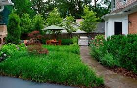 Ground Force 10 Top Ground Covers For Your Garden Large Backyard Landscaping Lawn Alternatives Ground Cover