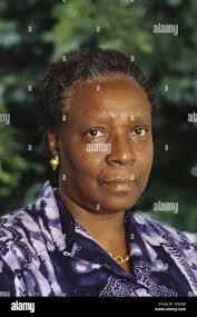 John conde hi-res stock photography and images