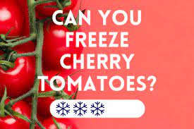 Check spelling or type a new query. Freezing Cherry Tomatoes No Blanching Required The Deep Freeze