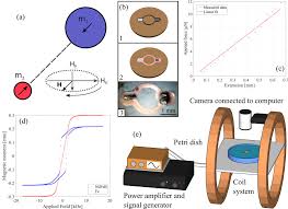 La parola italiana libro deriva dal latino liber.il vocabolo originariamente significava anche corteccia, ma visto che era un materiale usato per scrivere testi (in libro scribuntur litterae, plauto), in seguito per estensione la parola ha assunto il significato di opera letteraria. Magnetically Controlled Ferromagnetic Swimmers Scientific Reports