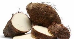 El cultivo de ñame en Chiriquí promueve el MIDA