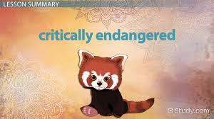 Endangered Animals In India Lesson For Kids