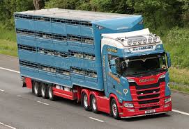 Livestock Transporters