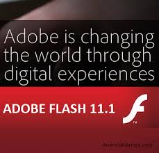 Adobe flash player is software for using content created on the adobe flash platform. Download Flash Player 11 1 Apk For Android Phones