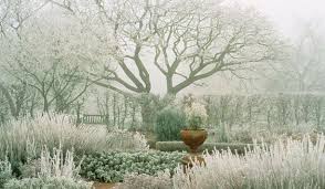 Garden In Winter Herb Garden At Rhs Wisley In Surrey Winter Garden Garden Design Herb Garden Design