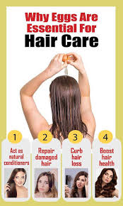 You can make a hair mask using egg yolk and olive oil to get the benefits of egg yolk for your hair. Benefits Of Applying Eggs On Hair Egg Hair Masks Femina In