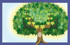 Don't let your family's heritage slip away without teaching it to your children. Family History Activities For Children 3 11 Familysearch