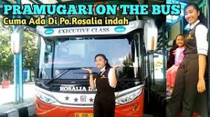 Lowongan kerja terbaru di po rosalia indah transport 2021 | karir.com. Helper Wanita Herunterladen