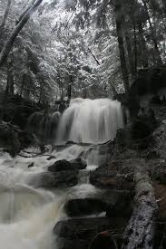 Pennsylvania Wilds Potter County Hiking Trails In Pa Beautiful Winter Scenes