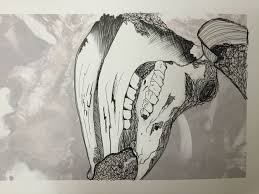 Cow Skull Black Pen Art Major Work Hsc Art Pen Art Art Major