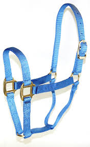 Murdochs Hamilton Products Inc Quality Horse Halter