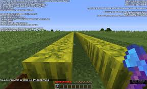 In java edition, one coral block can be bought from wandering traders for 3 emeralds, while in bedrock edition, 3 of the same coral block can be bought for 1 emerald. Are There Any Advantages To Having An Axe With Silk Touch Arqade