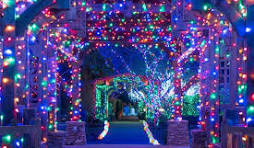 Experience Magical Raleigh Christmas Light Tour with ...