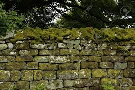 We did not find results for: Couverts De Mousse Mur De Pierre Seche Dans Le Yorkshire En Angleterre Banque D Images Et Photos Libres De Droits Image 29794315