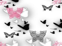 We did not find results for: 47 Pink And Black Butterfly Wallpaper On Wallpapersafari