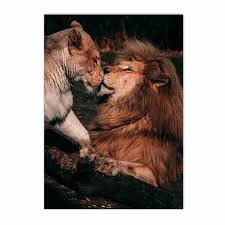 BDHcdfAJGf Leone e leonessa baciare parete arte tela Quadri nero e bianco  amore animale poster & stampe nordico parete Quadro casa Decorazioni  50x70cmx2 senza cornice : Amazon.it: Casa e cucina