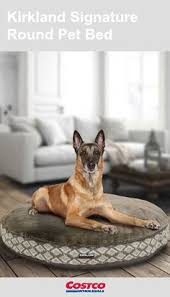 Hank & juju got new dog beds! 70 Best Kirkland Signature Finds Ideas Kirklands Signature Luxury Pet Beds