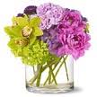 Whether you're looking to buy flowers and gifts like roses , orchids, gift baskets, bonsai trees, flowering plants or wedding bouquets, we have the highest quality blooms and the. Virtual Flowers Bouquets At 1 800 Florals Free Virtual Flowers