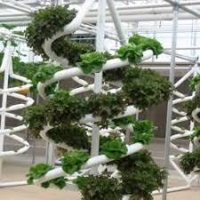 Follow these container vegetable garden design ideas to maximize harvest and make your edible garden less boring. 12 Design Ideas Hydroponics Green Roof Roof Garden