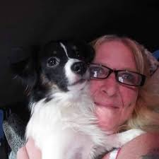 POHO HotRod Fest show in St. Clair County, Michigan