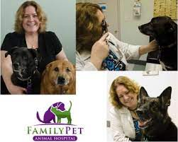 Maybe you would like to learn more about one of these? Paw Project Non Profit Animal Rescue North Carolina Paw Project