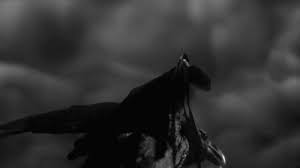 Birds With Human Arms Gif Https Encrypted Tbn0 Gstatic Com Images Q Tbn 3aand9gcresqoe7hctoocbxot7upp6mzqnziqlfxyswa Usqp Cau